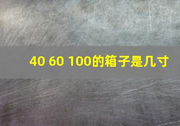 40 60 100的箱子是几寸